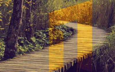 ArsIllyrica-Post-Ekologija ArsIllyrica-Post-Ekologija