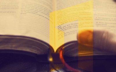 ArsIllyrica-Post-Knjiga ArsIllyrica-Post-Knjiga